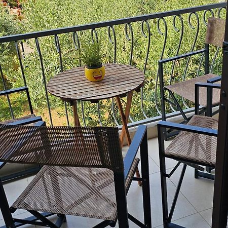 Apartments Legend Rovinj Zewnętrze zdjęcie